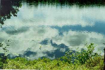 Reflections - Big Trout Lake